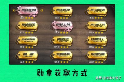 ​刺激战场：吃鸡勋章有36个，你都知道怎么获取吗？答案全在这！