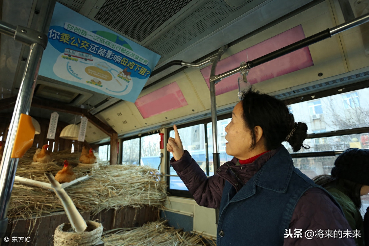 天津街头公交现“养鸡专车”,为提倡绿色出行免费送“1蛋”