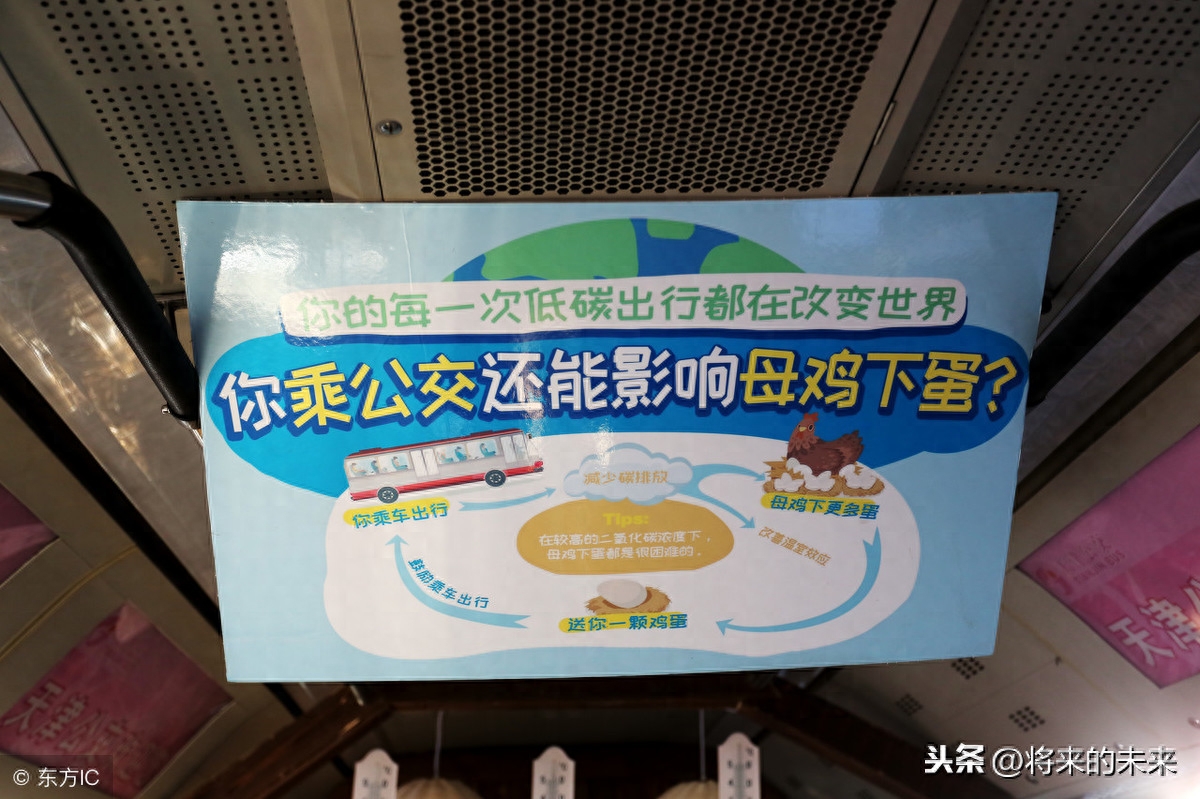 天津街头公交现“养鸡专车”,为提倡绿色出行免费送“1蛋”