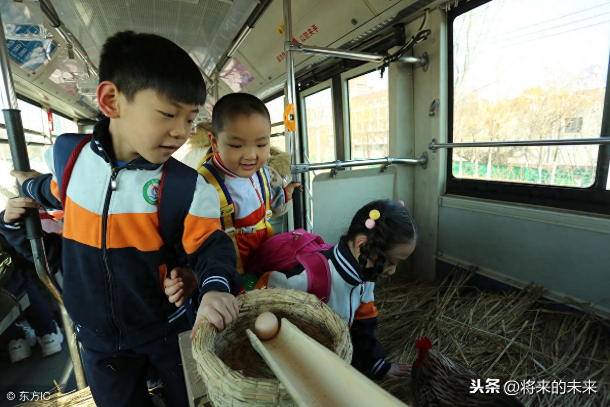 天津街头公交现“养鸡专车”,为提倡绿色出行免费送“1蛋”
