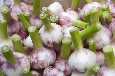 ​白酒泡大蒜能补肾吗 坚持天天吃大蒜的人，最后得到了什么？看完或许就明白了