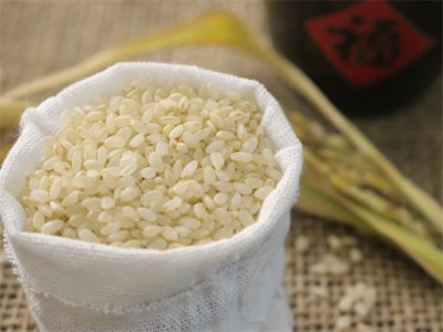 ​如何鉴别转基因与非转基因的大米