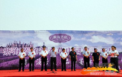 ​磁县:“紫海芳庭”300百亩薰衣草浪漫绽放