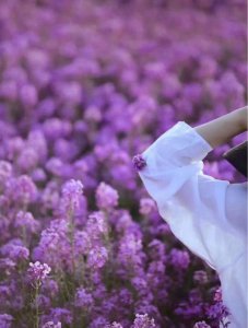 ​入目无他人四下皆是你是什么意思（入目无他人 四下皆是你 是什么意思）