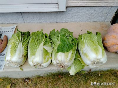 ​韩国泡菜的腌制方法简单又好吃（高级发酵食品 韩国泡菜的详细做法简单又好吃）