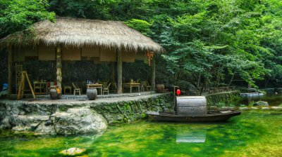 ​什么指什么什么（什么指什么什么像什么）