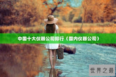 ​中国十大仪器公司排行（国内仪器公司）