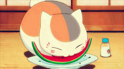 ​飞蛾扑火歇后语（歇后语大全500条）