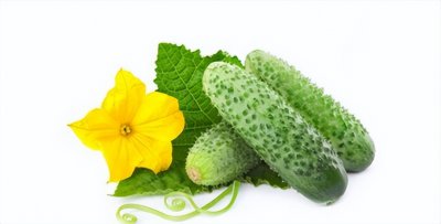 ​黄瓜减肥法 吃黄瓜减肥多久有效果？10分钟快速减肥法