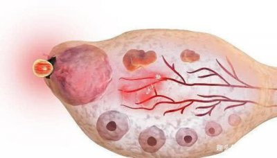 ​不排卵能怀孕吗 备孕女性身体出现3种感觉，恭喜你在排卵