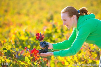 ​秋季养生吃什么好推荐这5种食物（秋季养生吃什么好？这5种应季食物，可别再错