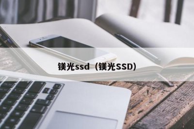 ​镁光ssd（镁光SSD）