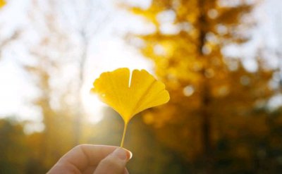 ​秋天吃什么养生餐比较好（秋天养生吃什么更好？这4种食物，经常吃一些，受益