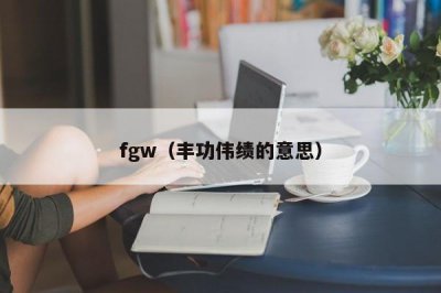 ​fgw（丰功伟绩的意思）