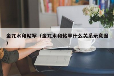 ​金兀术和粘罕（金兀术和粘罕什么关系示意图）