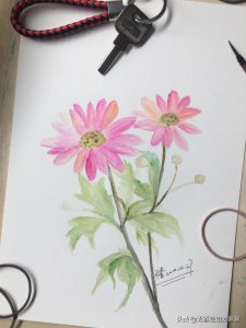 ​菊花怎么画简单漂亮（手绘漂亮的粉色菊花，步骤非常简单，超适合初学画画的你