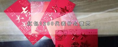 ​给红包1100是啥意思 包红包1200是什么意思