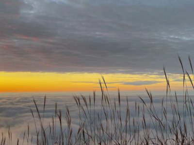 ​武功山在哪里？你去过吗？