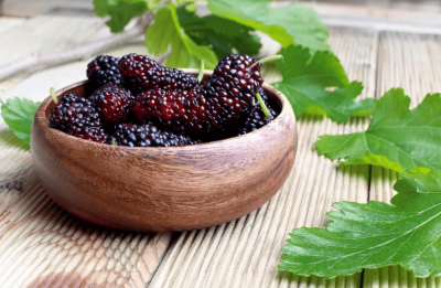 ​桑葚茶有什么作用与功效 桑葚茶有什么功效