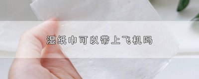​湿巾纸能不能带上飞机 湿纸巾让带上飞机吗