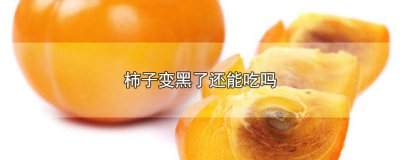 ​柿子变黑了能吃不 柿子里面变黑了能吃吗