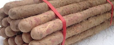 ​铁棍山药的特点和作用 铁棍山药的特点介绍