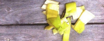 ​香蕉皮灭蟑螂的方法放什东西 香蕉皮杀死蟑螂最有效的方法