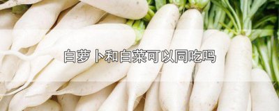 ​白萝卜可以和白菜一起吃吗? 白萝卜和白菜一起吃可以吗