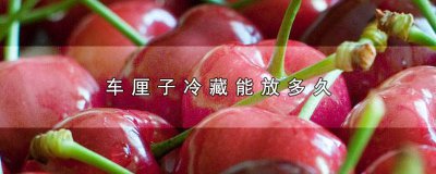 ​车厘子放冰箱冷藏能保存多久不坏 车厘子能放冰箱冷藏吗?能保存多久