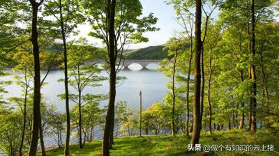 ​什么星座是九月的 什么星座是9月份出生的