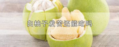 ​白柚子发苦还能吃吗 白柚子发苦还能吃吗有毒吗