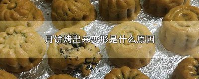 ​广式月饼烤出来开裂 广式月饼烤裂是什么原因