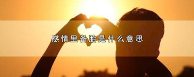 ​爱情里备胎是什么意思 爱情中备胎是什么意思?