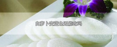 ​白萝卜为什么会变蓝色还能吃吗 白萝卜里面变成蓝色的还能吃吗