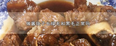 ​大酱块子长绿毛了,怎么办 酱坯长了黑绿毛还能用来做酱吗