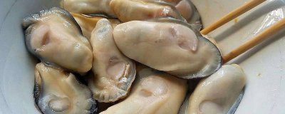 ​海蛎子要蒸多久才熟 海蛎子蒸几分钟就熟