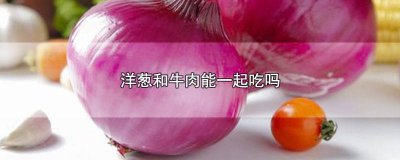 ​洋葱和牛肉能一起吃吗早餐 洋葱和牛肉能一起吃吗宝宝