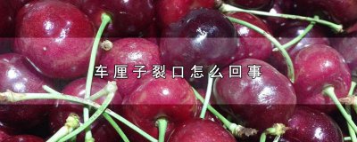 ​车厘子裂了可以吃吗 车厘子裂了能吃吗