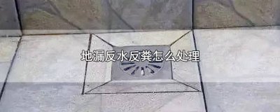 ​一楼卫生间地漏反粪便怎么办 卫生间地漏喷粪解决办法