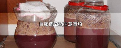 ​自制葡萄酒注意事项和危害 自酿葡萄酒的缺点及安全隐患