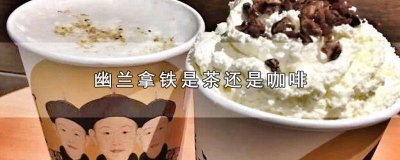 ​幽兰拿铁是茶还是咖啡 幽兰拿铁是奶茶还是咖啡