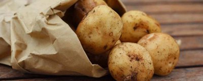 ​菠菜和土豆能一起吃么 菠菜能和土豆一起吃吗?为什么会中毒