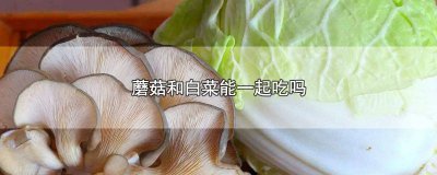 ​蘑菇和白菜可以一起吃吗 蘑菇跟白菜可以一起吃吗