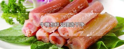 ​牛鞭怎么处理怎么做牛鞭怎样清洗 牛鞭要怎么清洗才干净视频