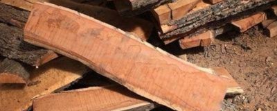 ​枣木裂纹怎么办 枣木板怎么处理不裂