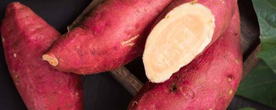 ​红薯有转基因的吗 红薯有转基因的吗能吃吗