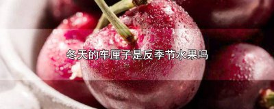 ​进口车厘子是什么季节的水果 车厘子是冬天的水果吗