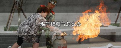 ​煤气罐漏气怎么办 生胶带 煤气罐漏气怎么办 大司马