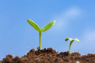 ​杂然相许的杂是什么意思 杂然相许的杂字怎么写