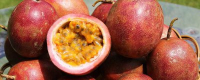 ​百香果外皮长白毛了还能吃吗[百香果外皮长毛了里面可以吃吗]